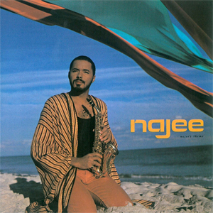 <i>Najees Theme</i> 1986 studio album by Najee