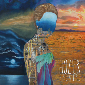 File:Sedated Hozier.jpg