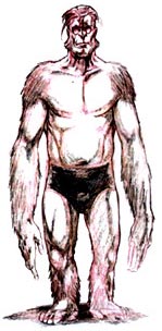 Desenho de um calção de homem-macaco.  Ele tem braços enormes e musculosos que vão além dos joelhos.