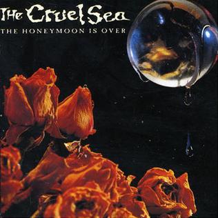 <i>The Honeymoon Is Over</i> 1993 studio album by The Cruel Sea