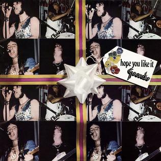 <i>Hope You Like It</i> 1973 studio album by Geordie