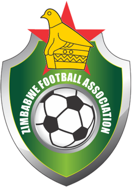 <span class="mw-page-title-main">Zimbabwe national football team</span>