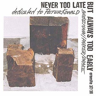 <i>Never Too Late But Always Too Early</i> 2003 live album by Peter Brötzmann, William Parker, and Hamid Drake