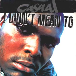 I Didnt Mean To 1994 single by Casual