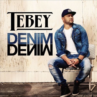 <span class="mw-page-title-main">Denim on Denim (song)</span> 2018 song by Tebey