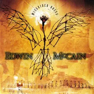 <i>Misguided Roses</i> 1997 studio album by Edwin McCain