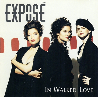 <span class="mw-page-title-main">In Walked Love</span> 1994 single by Exposé