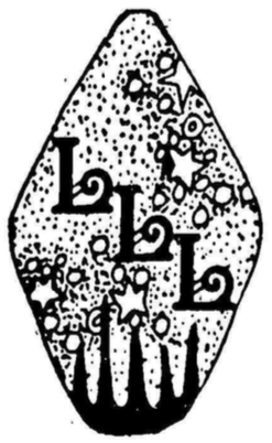 <span class="mw-page-title-main">Lincoln Legion of Lesbians</span> Lesbian feminist collective in Lincoln, Nebraska