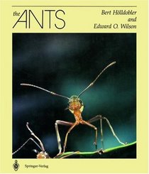 File:The Ants (Wilson Hölldobler book).jpg