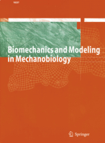 Mechanobiology.jpg-da biomexanika va modellashtirish