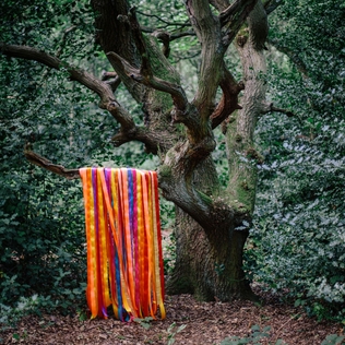 <i>The Animal Spirits</i> (James Holden album) 2017 studio album by James Holden and The Animal Spirit