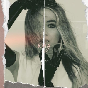 Why (Sabrina Carpenter song) 2017 single by Sabrina Carpenter