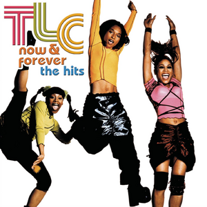 <i>Now & Forever: The Hits</i> 2003 album by TLC