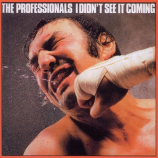 <i>I Didnt See It Coming</i> 1981 studio album by The Professionals