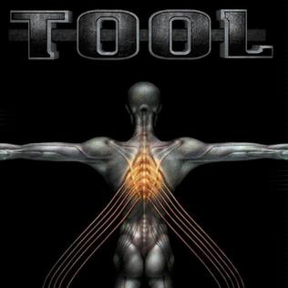 tool salival album cover