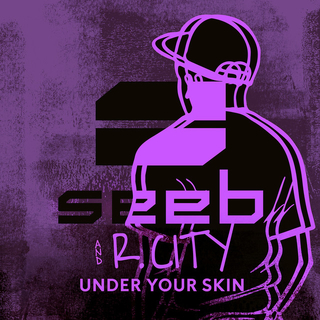 <span class="mw-page-title-main">Under Your Skin (song)</span> 2017 single by Seeb and R. City