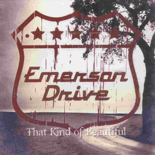 <span class="mw-page-title-main">That Kind of Beautiful</span> 2010 single by Emerson Drive