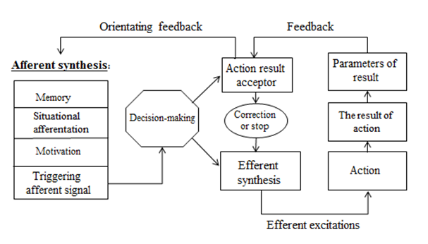 Theory of Functional Systems (m) .png