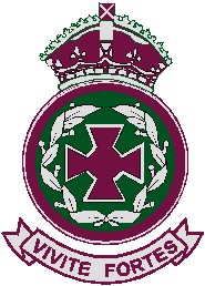 VICTORIA PARK O'RTA MAKTABI BADGE.jpg