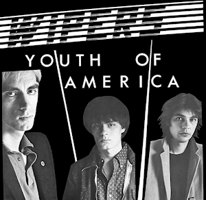 <i>Youth of America</i> 1981 studio album by Wipers