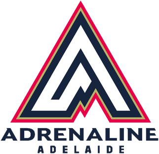 <span class="mw-page-title-main">Adelaide Adrenaline</span> Ice hockey team in Adelaide, South Australia