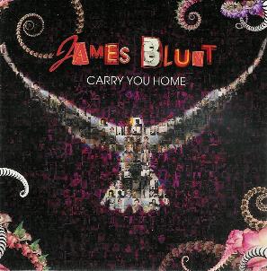 <span class="mw-page-title-main">Carry You Home (James Blunt song)</span> 2008 single by James Blunt