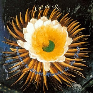 <i>Crashes to Light, Minutes to Its Fall</i> 1999 studio album by Cul de Sac