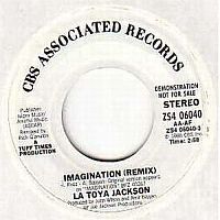 Imagination (La Toya Jackson song) 1986 single by La Toya Jackson