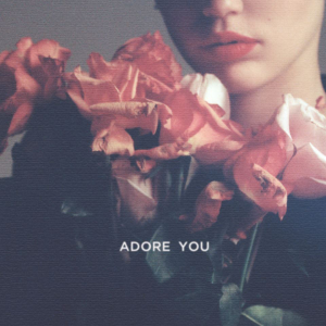 Adore You (Miley Cyrus song) 2013 single by Miley Cyrus