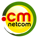 File:Netcom.cm logo.png