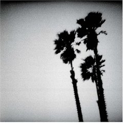 <i>Blackberry Belle</i> 2003 studio album by The Twilight Singers