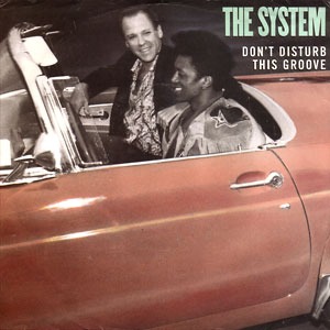 Dont Disturb This Groove (song) 1987 single by The System