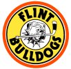 <span class="mw-page-title-main">Flint Bulldogs</span> Ice hockey team in Flint, Michigan