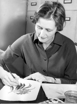 <span class="mw-page-title-main">Margaret Stones</span> Australian botanical illustrator (1920–2018)