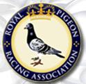 <span class="mw-page-title-main">Royal Pigeon Racing Association</span>