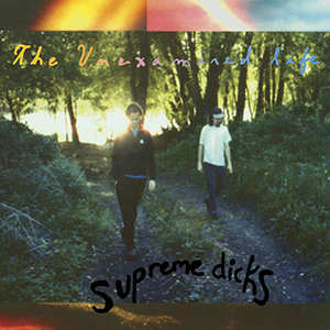 <i>The Unexamined Life</i> 1993 studio album by Supreme Dicks