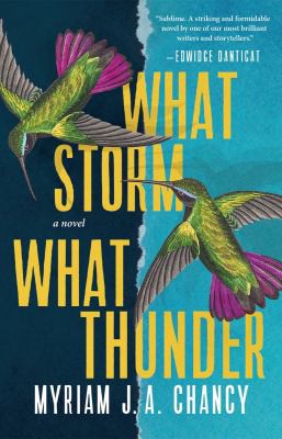 <i>What Storm, What Thunder</i> 2021 book about an earthquake in Haiti