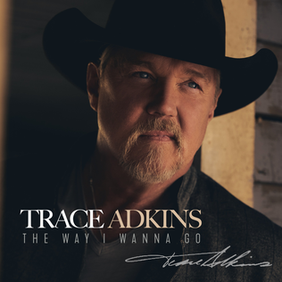 <i>The Way I Wanna Go</i> 2021 studio album by Trace Adkins