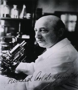 <span class="mw-page-title-main">Richard Goldschmidt</span> German geneticist