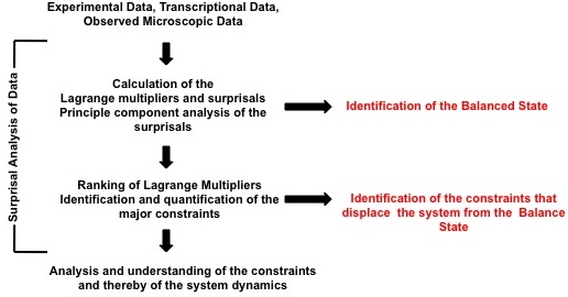 A schematic of "Surprisal Analysis". Schematic of Surprisal Analysis.jpg