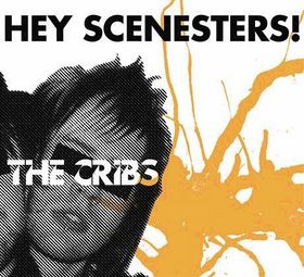 <span class="mw-page-title-main">Hey Scenesters!</span> 2005 single by The Cribs