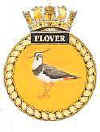 File:Plover ship badge.jpg