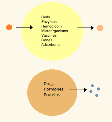 File:Standard and drug delivery artificial cells .png