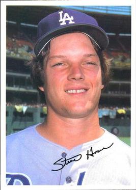 <span class="mw-page-title-main">Steve Howe (baseball)</span> American baseball player (1958–2006)