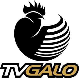 Tv Galo Wikipedia