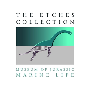 <span class="mw-page-title-main">The Etches Collection</span> Fossil Museum in England