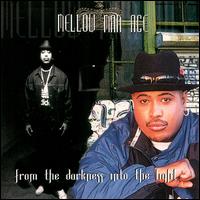 <i>From the Darkness into the Light</i> 2000 studio album by Mellow Man Ace