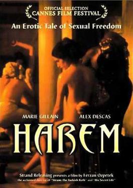 File:Harem Suare FilmPoster.jpeg