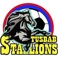 <span class="mw-page-title-main">Tusbab Stallions F.C.</span> Association football club in Papua New Guinea