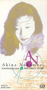 <span class="mw-page-title-main">Everlasting Love (Akina Nakamori song)</span> 1993 single by Akina Nakamori